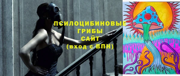 прущие грибы Арсеньев