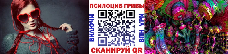 Галлюциногенные грибы Psilocybine cubensis  Ревда 