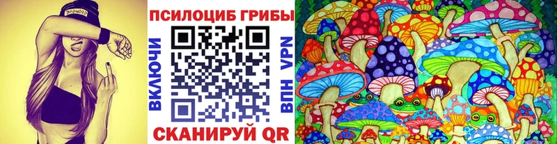 Галлюциногенные грибы Psilocybe Ревда